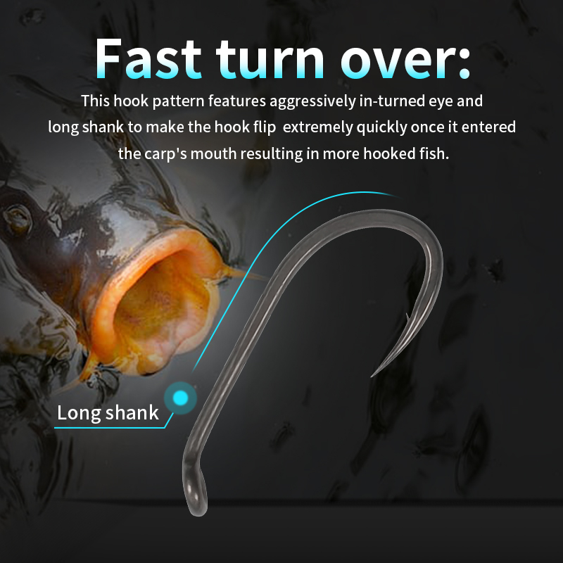 10pcs Carp Fishing Hook Long S - đánh giá và giá Fishing Hook Assortment