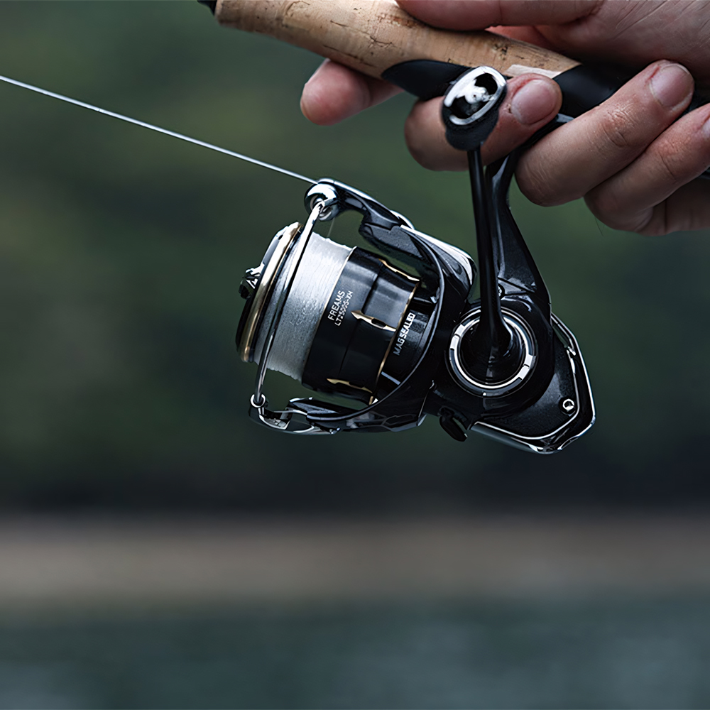 Máy câu cá DAIWA FREAMS 2026,  - đánh giá và giá Daiwa Reel Bg